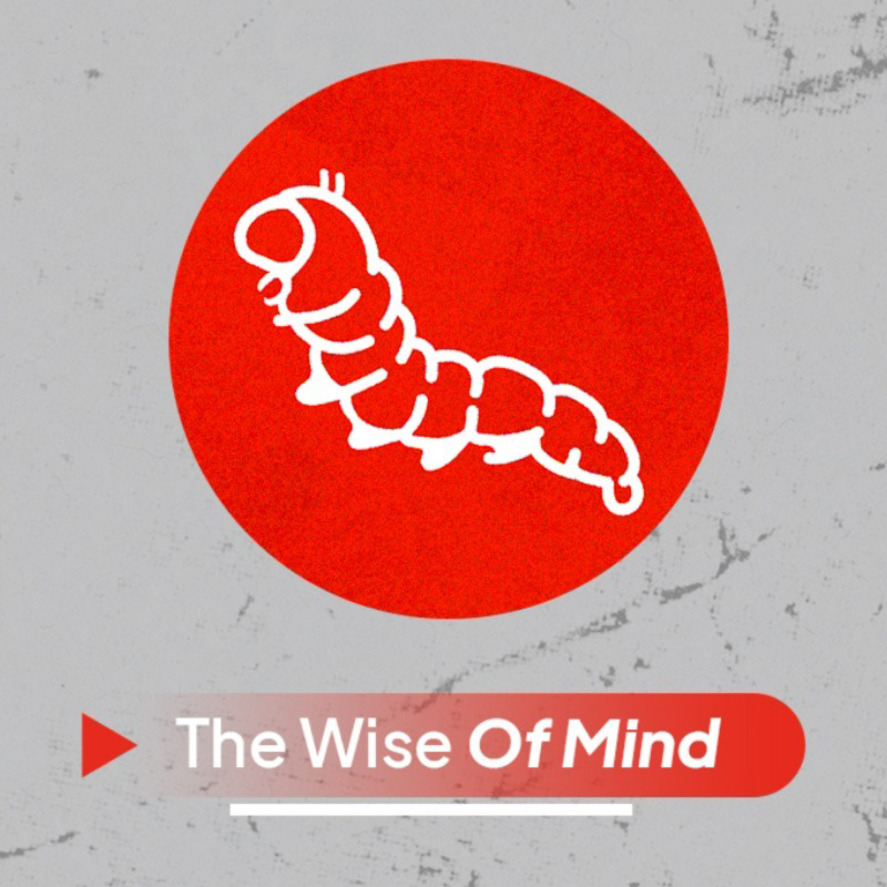 img-wise